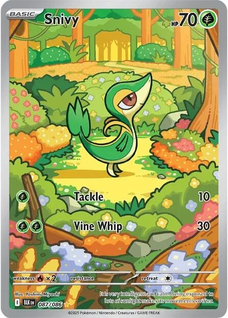 Snivy (087/086) (SV: Black Bolt)